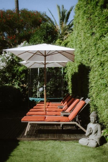 Ferienhaus Maison Avec Jardin Tropical A 5 Minutes De La Croisette Cannes
